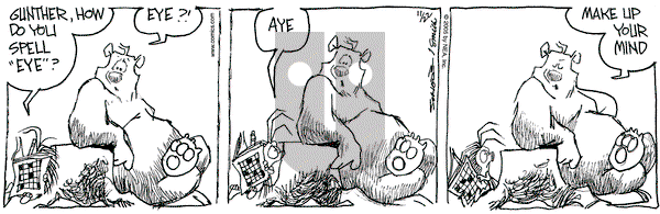 The Grizzwells on Tuesday November 22, 2005 Comic Strip