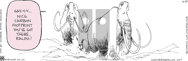 Non Sequitur on Tuesday April 29, 2008 Comic Strip