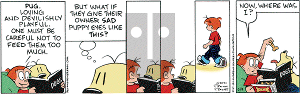 Red and Rover on Wednesday June 9, 2021 Comic Strip