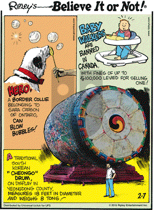 Ripley's Believe It or Not on Saturday February 7, 2015 Comic Strip