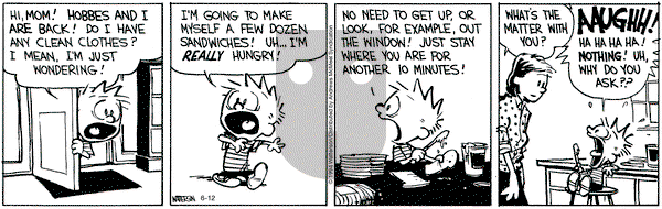 Calvin and Hobbes - Wednesday June 12, 2024 Comic Strip