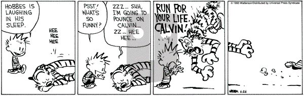 Calvin and Hobbes on Saturday June 26, 1993 Comic Strip