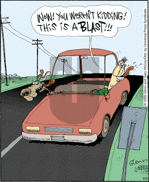 The Flying McCoys on Wednesday September 9, 2009 Comic Strip