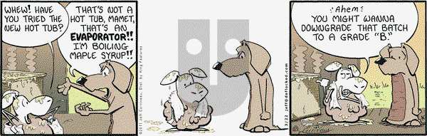 DeFlocked on Tuesday March 22, 2011 Comic Strip