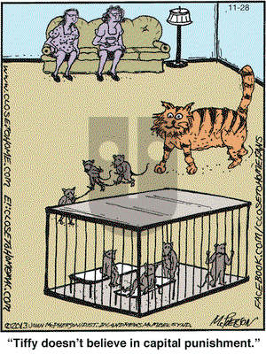 Close to Home - Wednesday November 28, 2018 Comic Strip