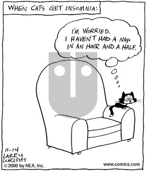 Kit 'N' Carlyle on Tuesday November 14, 2000 Comic Strip