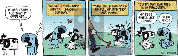 Pooch Cafe on Thursday June 6, 2013 Comic Strip