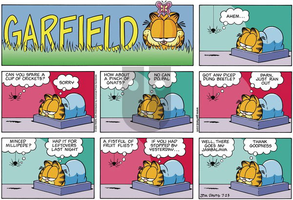 Garfield on Sunday July 23, 2000 Comic Strip