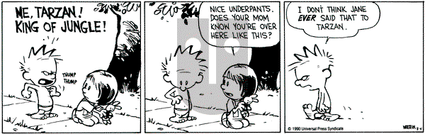 Calvin and Hobbes on Saturday August 4, 1990 Comic Strip