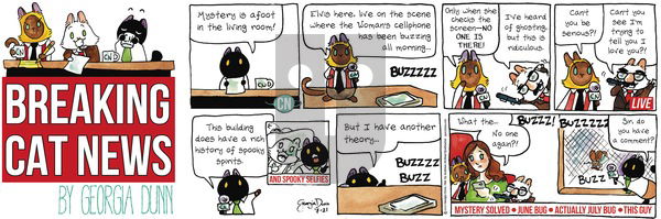 Breaking Cat News on Sunday July 21, 2019 Comic Strip