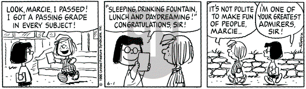 Peanuts on Friday June 1, 1990 Comic Strip