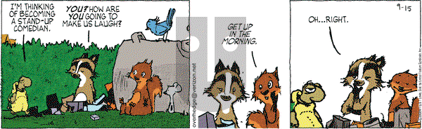Over the Hedge on Monday September 15, 2008 Comic Strip