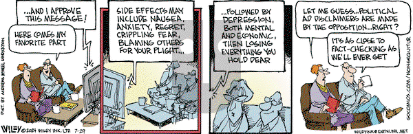 Non Sequitur - Monday July 29, 2024 Comic Strip
