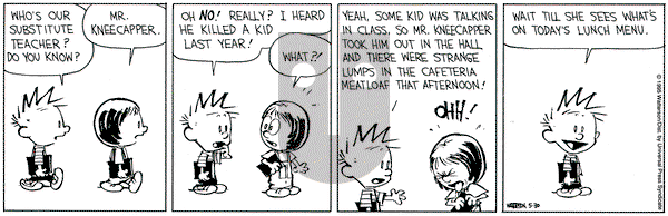 Calvin and Hobbes on Tuesday May 30, 1995 Comic Strip