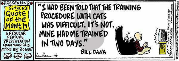The Big Picture on Wednesday April 2, 2025 Comic Strip
