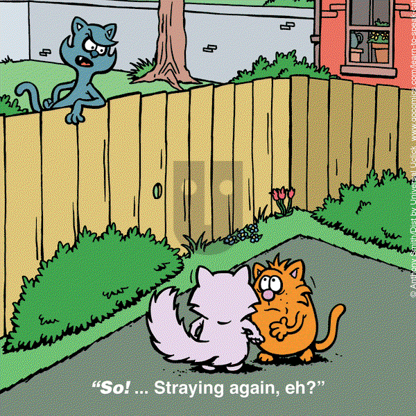 Learn to Speak Cat on Saturday March 29, 2025 Comic Strip