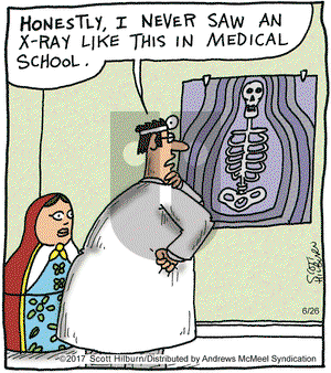 The Argyle Sweater - Monday June 26, 2017 Comic Strip