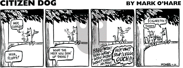 Citizen Dog on Sunday July 6, 2025 Comic Strip