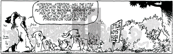 Over the Hedge on Wednesday November 16, 2005 Comic Strip