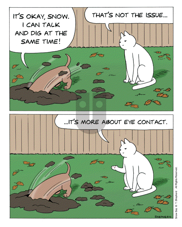 Snow Sez on Monday November 3, 2025 Comic Strip