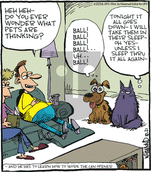 Reality Check on Friday October 21, 2016 Comic Strip