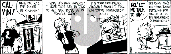 Calvin and Hobbes - Tuesday October 3, 1989 Comic Strip