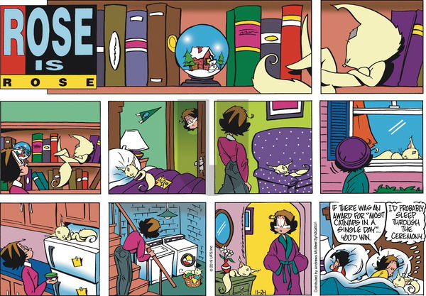 Rose is Rose on Sunday November 24, 2019 Comic Strip