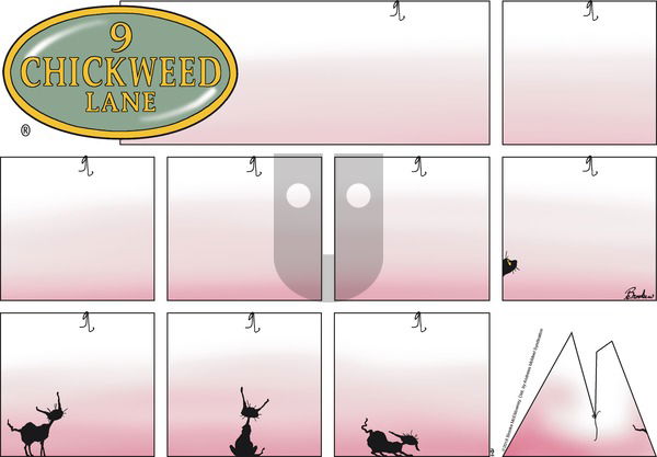 9 Chickweed Lane on Sunday January 21, 2018 Comic Strip