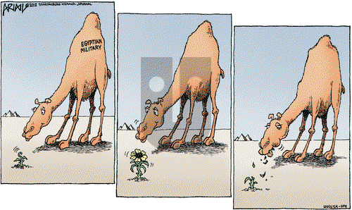 Robert Ariail on Wednesday June 20, 2012 Comic Strip