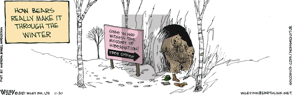 Non Sequitur - Tuesday November 30, 2021 Comic Strip