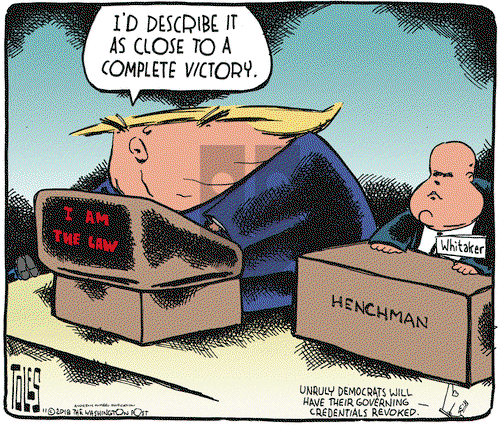 Tom Toles on Friday November 9, 2018 Comic Strip