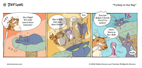 @Tavicat on Wednesday November 26, 2025 Comic Strip