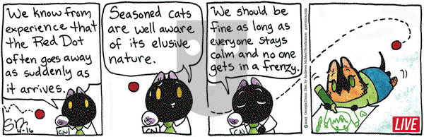 Breaking Cat News on Wednesday April 16, 2025 Comic Strip
