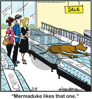 Marmaduke on Monday November 9, 2020 Comic Strip