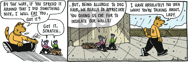 Overboard - Wednesday January 5, 2022 Comic Strip