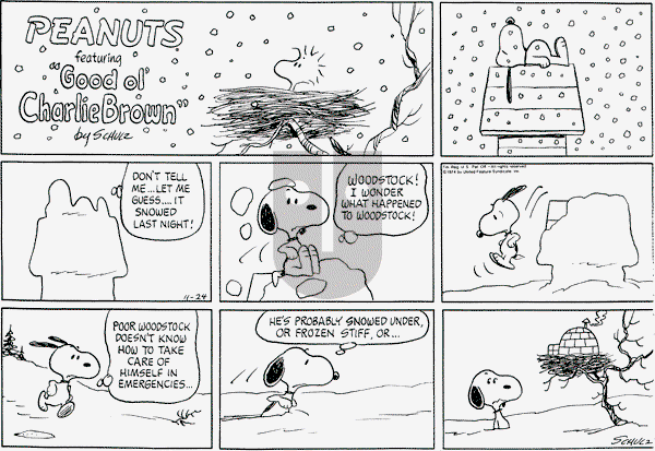 Peanuts - Sunday November 24, 1974 Comic Strip