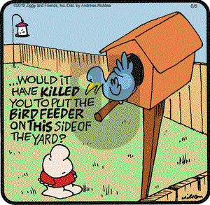 Ziggy on Thursday June 6, 2019 Comic Strip