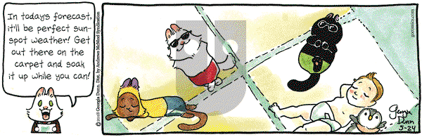 Breaking Cat News on Thursday May 24, 2018 Comic Strip