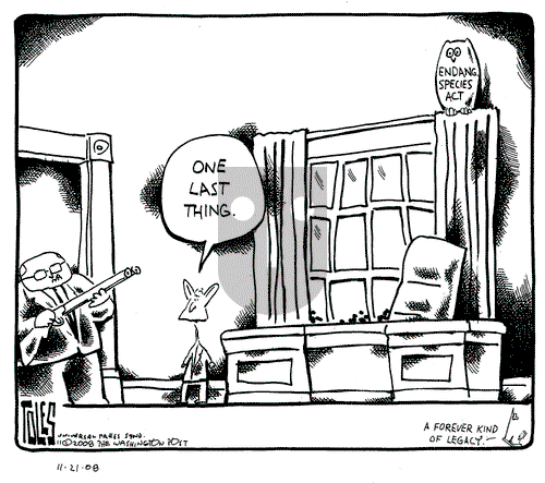 Tom Toles on Friday November 21, 2008 Comic Strip