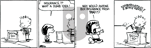 Calvin and Hobbes - Friday May 10, 1991 Comic Strip
