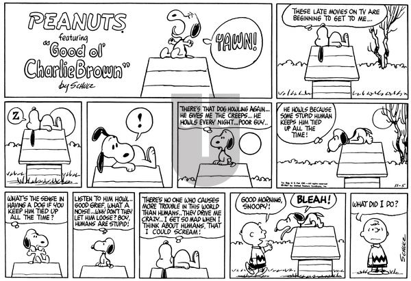 Peanuts on Sunday November 5, 1967 Comic Strip