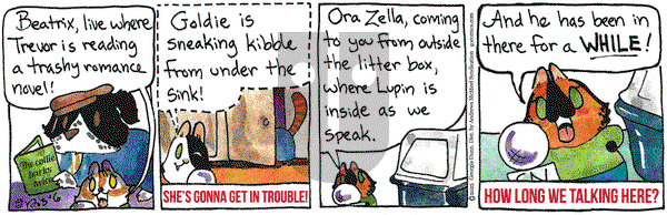 Breaking Cat News on Thursday March 6, 2025 Comic Strip