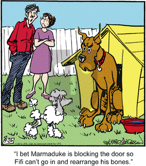 Marmaduke on Monday September 26, 2011 Comic Strip