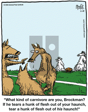 In the Bleachers on Tuesday November 18, 2008 Comic Strip