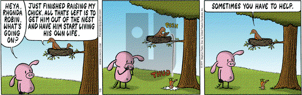 Pearls Before Swine - Thursday January 6, 2011 Comic Strip