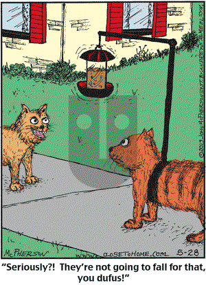 Close to Home on Tuesday May 28, 2019 Comic Strip