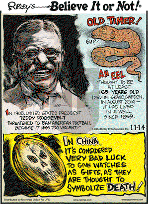 Ripley's Believe It or Not on Friday November 14, 2014 Comic Strip