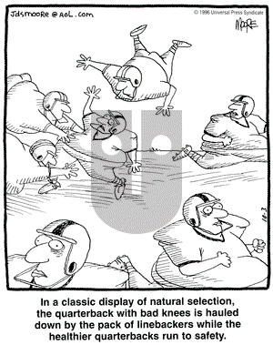 In the Bleachers on Thursday October 3, 1996 Comic Strip