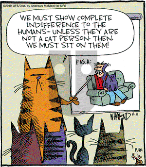 Reality Check on Thursday August 8, 2019 Comic Strip
