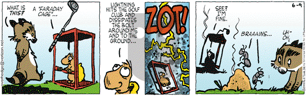 Over the Hedge on Tuesday June 9, 2015 Comic Strip